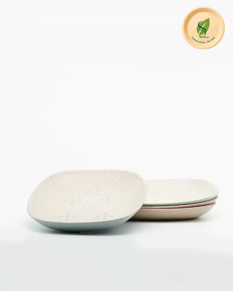 Eco Quick  Snack Plate - Image 3